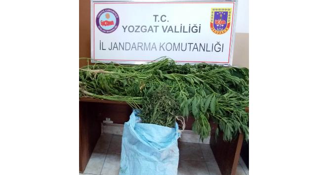 Yozgat’ta uyuşturucu operasyonu