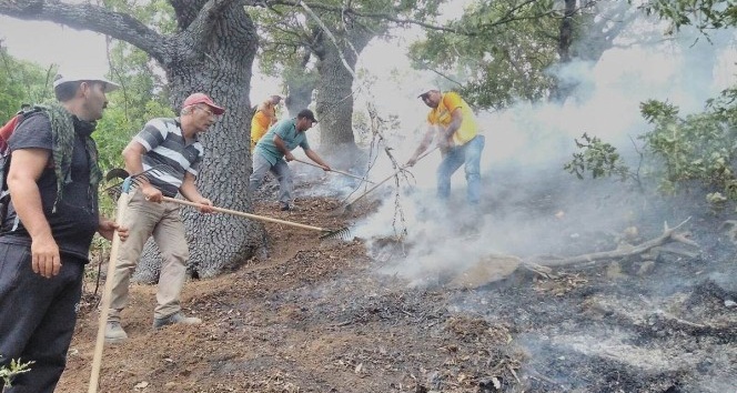 Tunceli’deki orman yangınları tamamen kontrol altına alındı