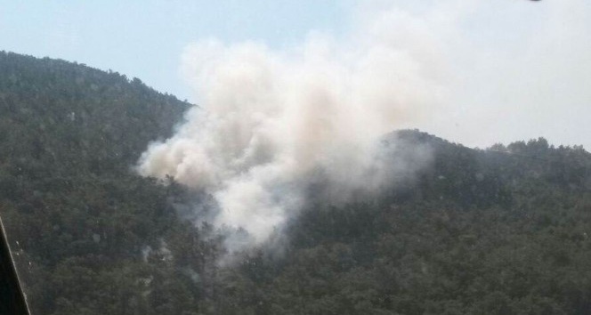 Bozdoğan’da 10 dönüm tarım arazisi yangında zarar gördü