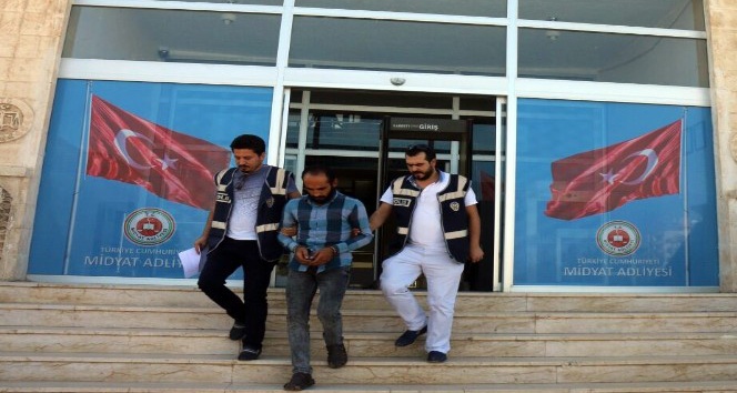 Mardin’de terör operasyonu: 2 gözaltı