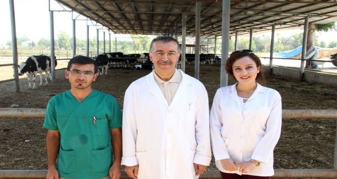 (Özel Haber) Türk bilim adamları Kurban Bayramında kesilen hayvanın acı çekip çekmediğini araştırdı
