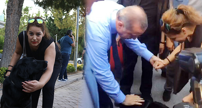 Cumhurbaşkanı Erdoğan &#039;Cesur&#039; köpek için otobüsten indi