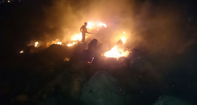 Malatya&#039;da orman yangını