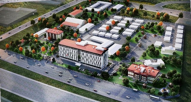 TEİAŞ’tan ’ağaç katliamı’ iddialarına yanıt