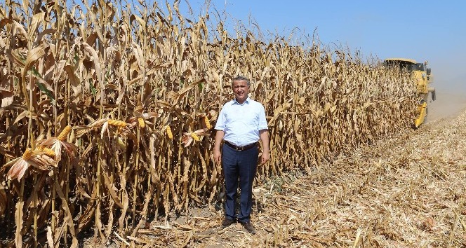 Sağlam: “Anız yakmak toprağımızın geleceğini yakmaktır”