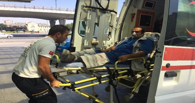 Yılanın ısırdığı işçi ambulansla hastaneye kaldırıldı