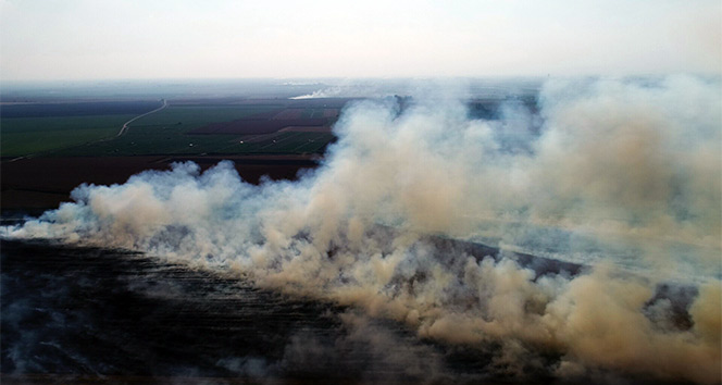Anız yangınları Adana&#039;yı boğuyor