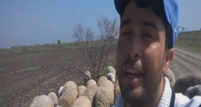 Azerbaycanlı çoban söylediği şarkılarla fenomen oldu