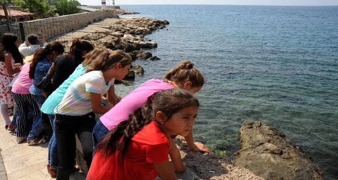 Şırnaklı çocuklar ilk defa denizi gördü