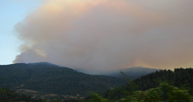 Gürcistan’daki orman yangınının karabulutları Posof’u sardı