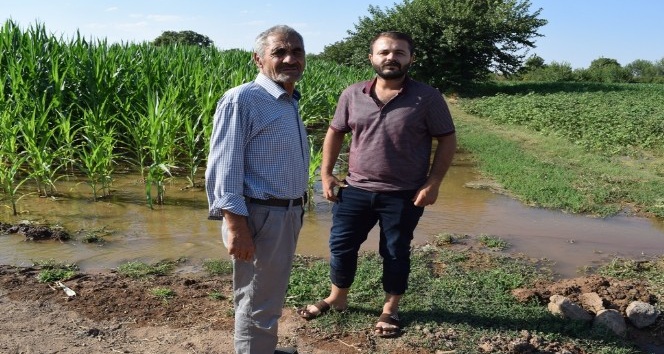 Tarlalarını su basan çiftçiler yetkililerden yardım istedi