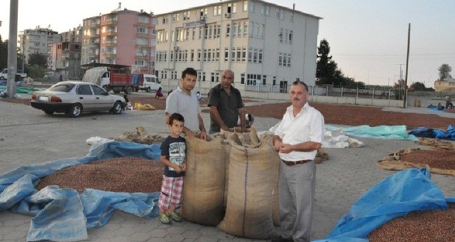 Emniyet ve jandarma fındık hırsızlığına karşı vatandaşı uyardı