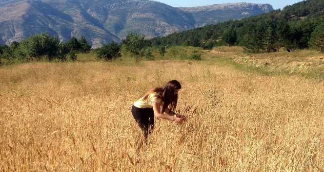 Bu köyde kuşlar aç kalmadı