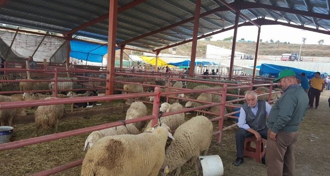 Başkan Namlı, hayvan pazarını ziyaret etti