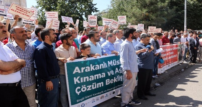 Arakan’daki katliam Bingöl’de protesto edildi