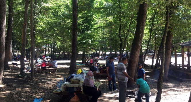 İstanbullular bayramın ikinci günü piknik alanlarına akın ettiler