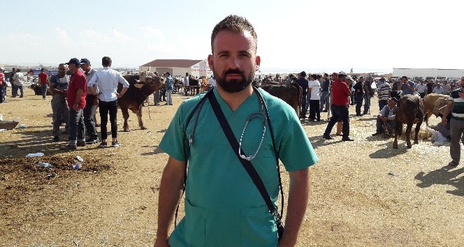 Ticaret Borsası Veterineri Süleyman Özçiçek: “Kurbanlık hayvanın iç organlarını hayvanlara vermeyin”