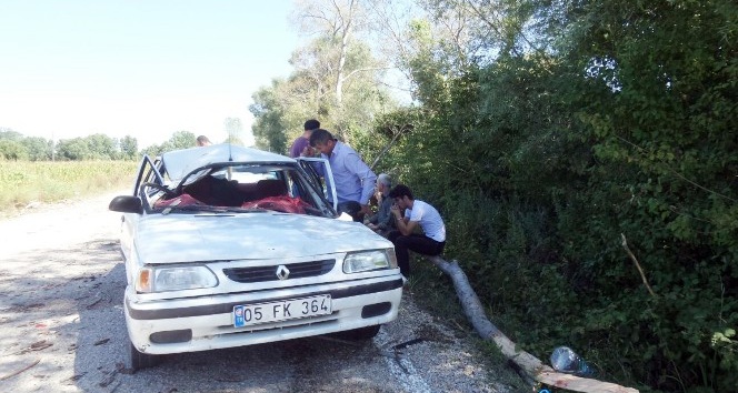 Sinop’ta otomobilin üzerine ağaç düştü: 1 ölü, 2 yaralı