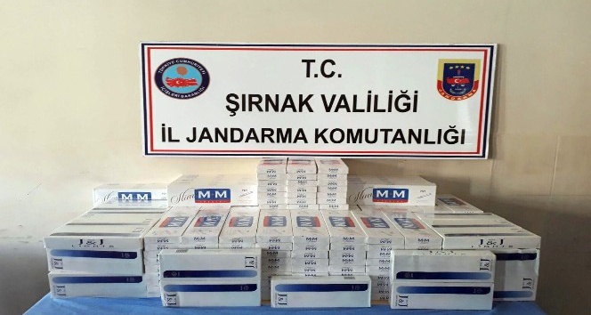 Şırnak’ta 19 bin paket kaçak sigara ele geçirildi