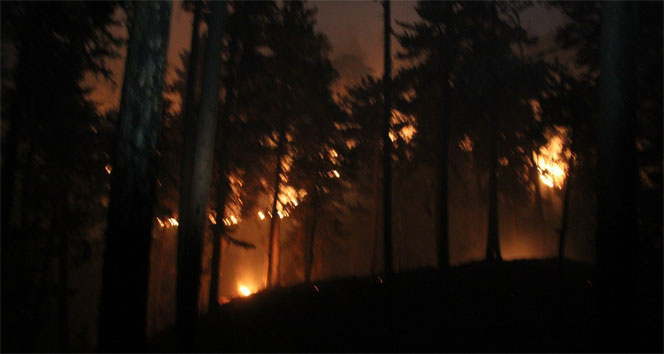 Kütahya&#039;da orman yangını söndürülemiyor...