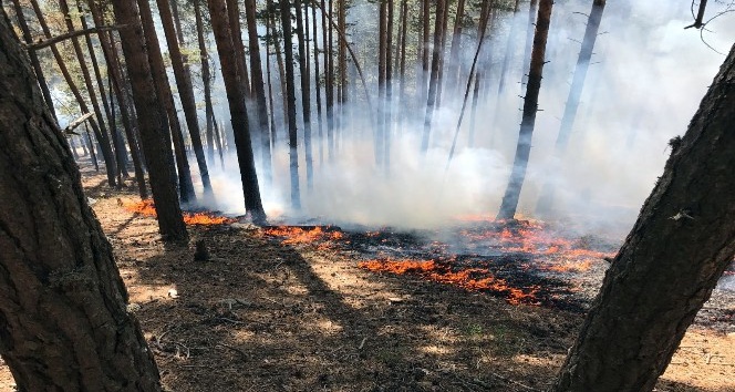 Sarıkamış ormanları 3 gündür yanıyor