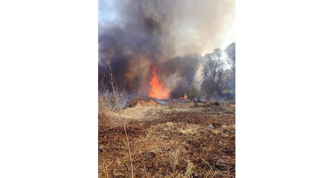 Malatya’da orman yangını korkuttu