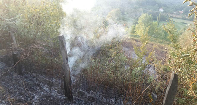 Fındık bahçesi kül oldu