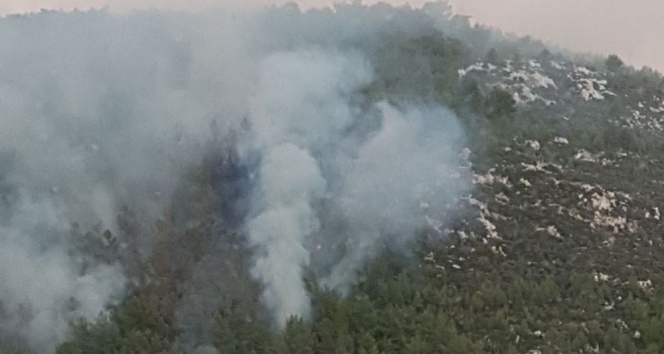 Milas’ta çıkan orman yangını kontrol altına alındı