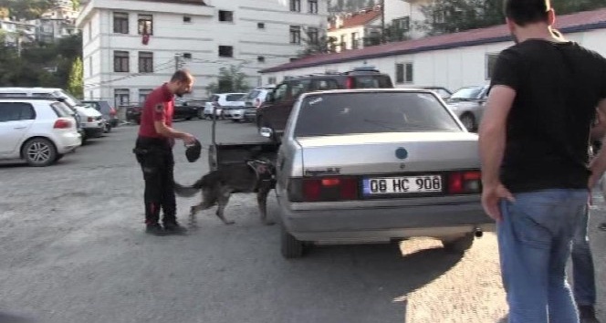 Artvin’de narkotik köpekler eşliğinde sokak uygulaması