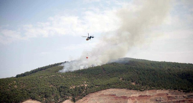 Denizli’deki orman yangınında yaklaşık 3 hektarlık alan yandı