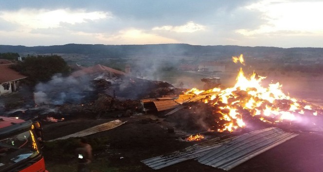 Kastamonu’da yangında 800 saman balyası yandı