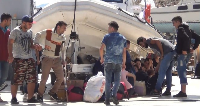 Ayvalık’ta 47 Suriyeli mülteci daha yakalandı