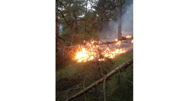 Yıldırım düşmesi sonucu ormanlık alanlarda yangınlar çıktı