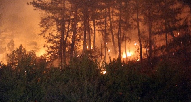 Orman yangınlarına karşı yasaklar açıklandı