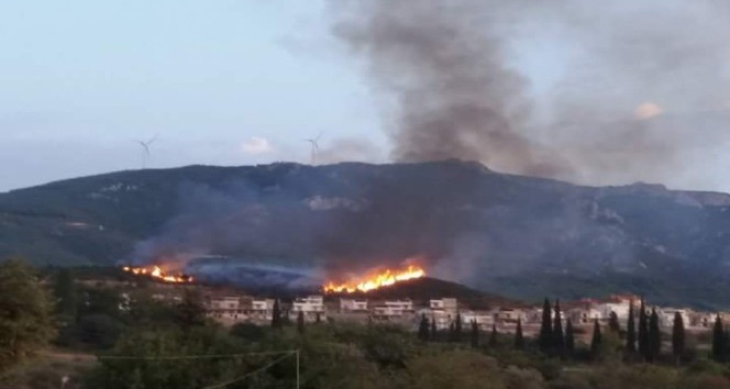 Aydın’da 3 ayrı yerde orman yangını