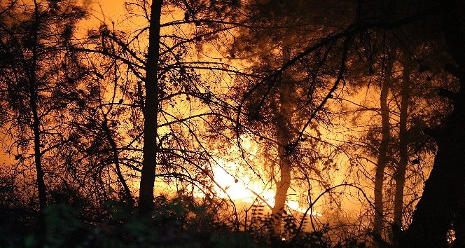 Karabük’teki orman yangınına müdahale sürüyor