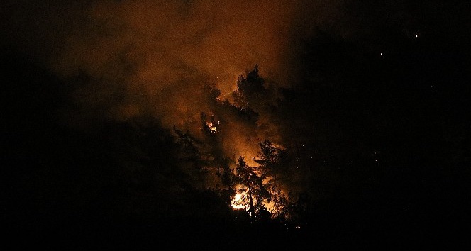 Karabük’te orman yangını kısmen kontrol altına alındı