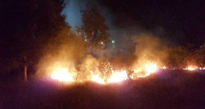 Samsun’da ot yangını korku ve paniğe sebep oldu