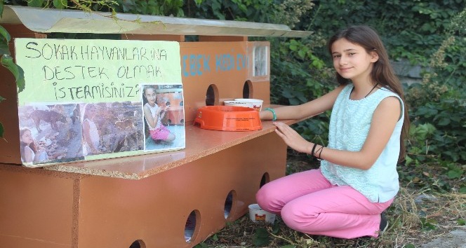 (Özel Haber) 11 yaşında sokaklarda keman çalarak kedi evi yaptırdı