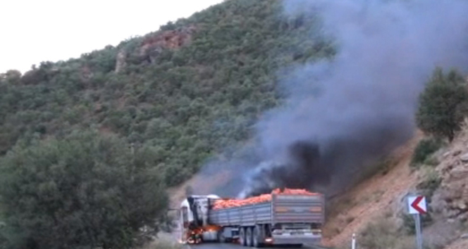 PKK’lı teröristler araç yaktı, Tunceli-Pülümür yolu trafiğe kapandı