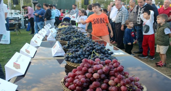 3. Trakya Bağ Bozumu Festivali’nde üzüm güzeli seçildi