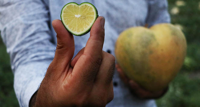 Şekle bürünen meyveler ihracatta servet oldu