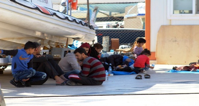 Ayvalık’ta 126 göçmen yakalandı