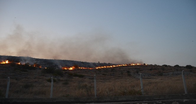 Adana’da makilik alanda yangın