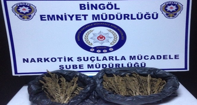 Bingöl’de 59 kilogram esrar ele geçirildi, 5 şüpheli tutuklandı