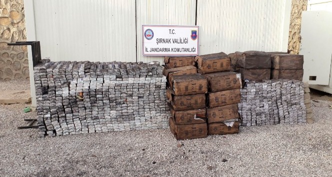 Şırnak’ta 41 bin 180 paket kaçak sigara ele geçirildi
