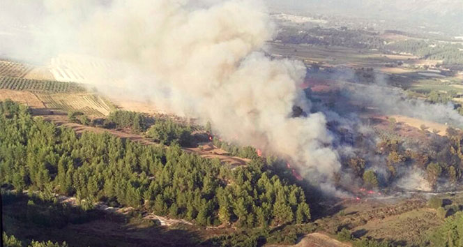Seydikemer&#039;de orman yangını: 5 dönüm alan yandı