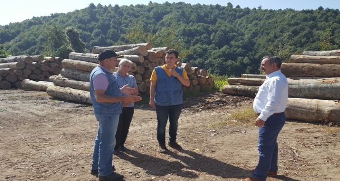 Orman Bölge Müdürü Keskin Akçakoca’da incelemelerde bulundu