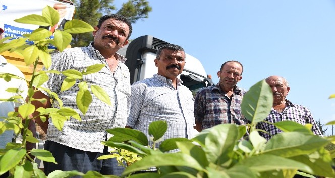 Mersin’de belediyeden üreticiye tropik destek