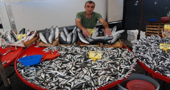 Bayramiç’te balık fiyatları yüksek seyrediyor